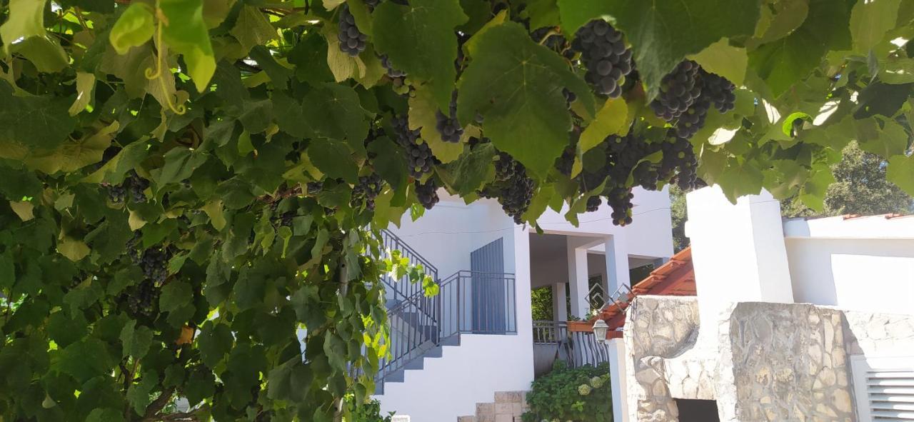 Apartment Lavanda Nova Ražanj Dış mekan fotoğraf