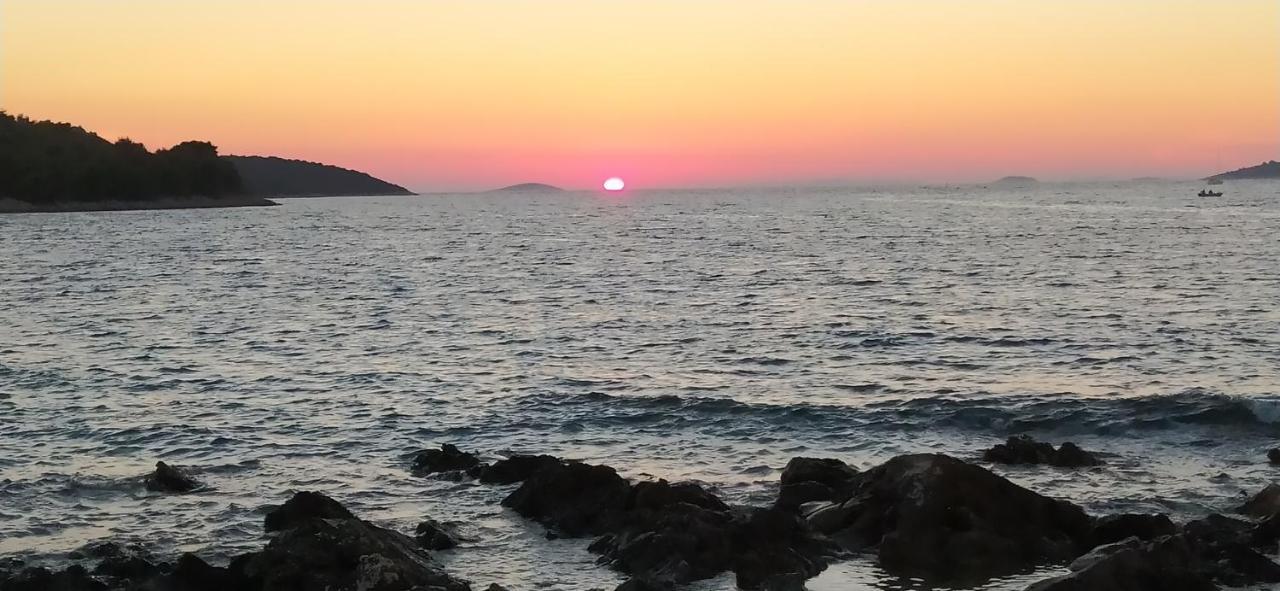 Apartment Lavanda Nova Ražanj Dış mekan fotoğraf