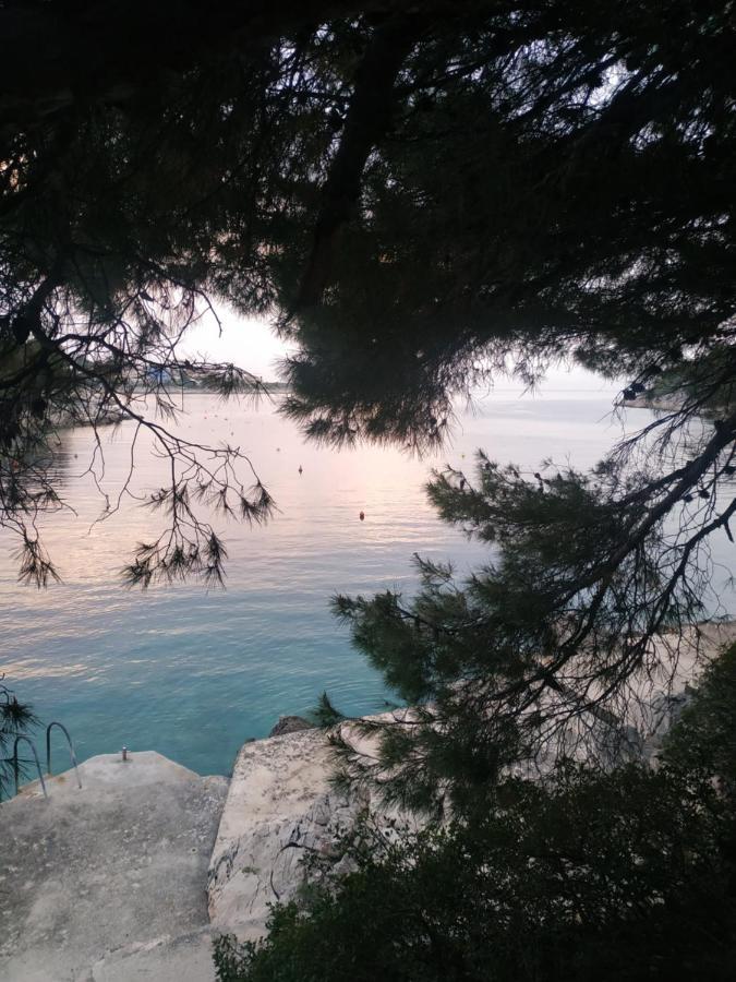 Apartment Lavanda Nova Ražanj Dış mekan fotoğraf