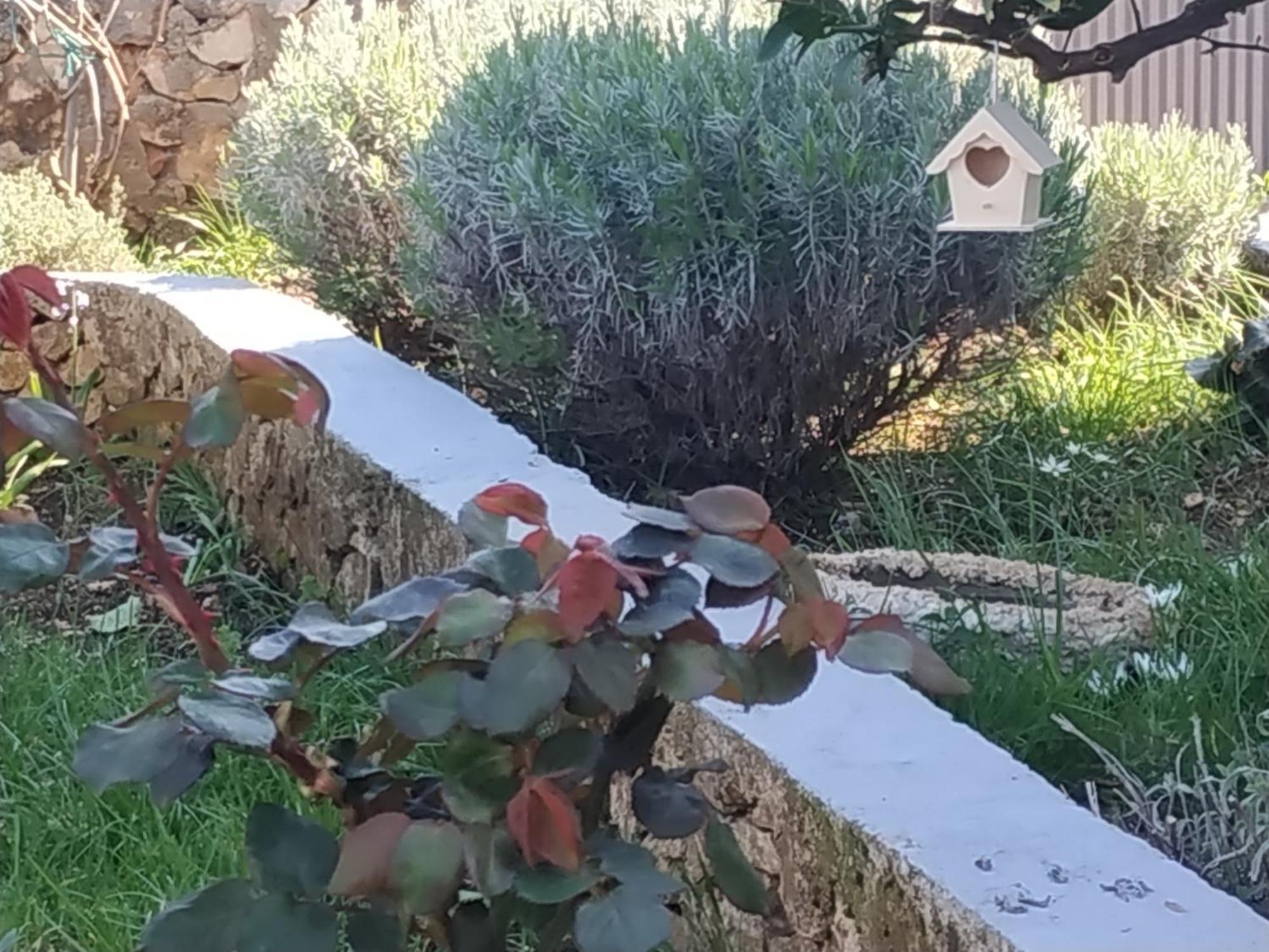 Apartment Lavanda Nova Ražanj Dış mekan fotoğraf