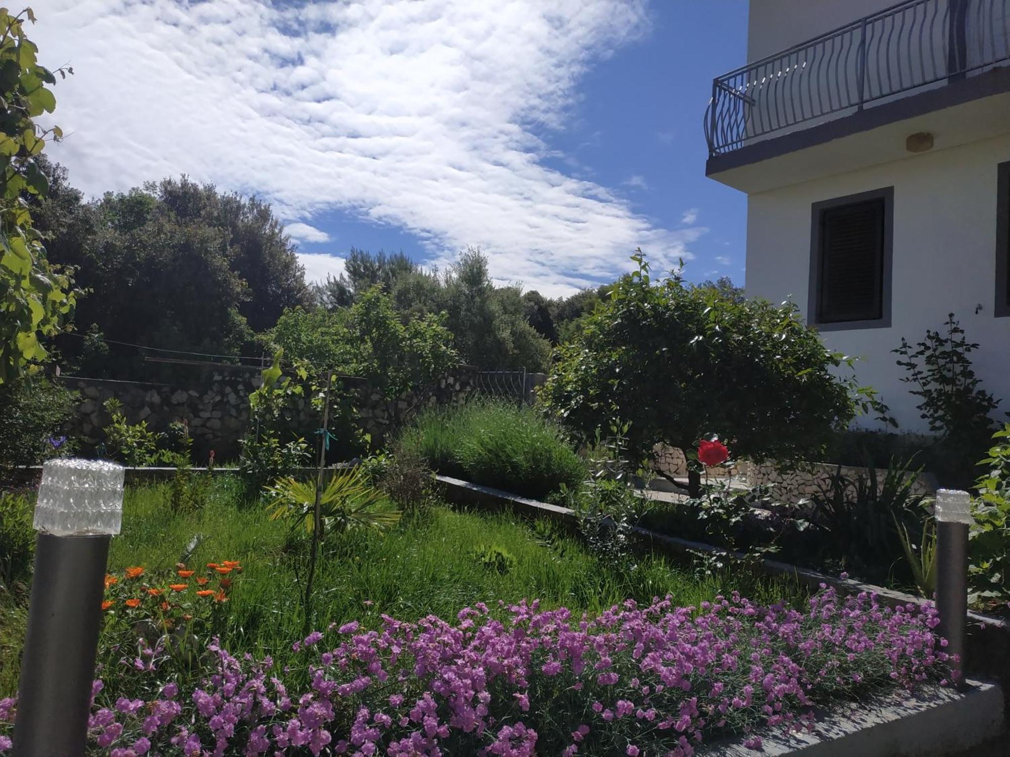 Apartment Lavanda Nova Ražanj Dış mekan fotoğraf