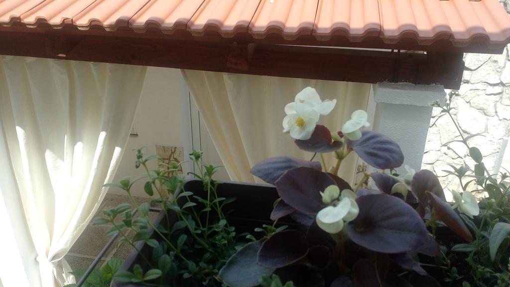 Apartment Lavanda Nova Ražanj Dış mekan fotoğraf