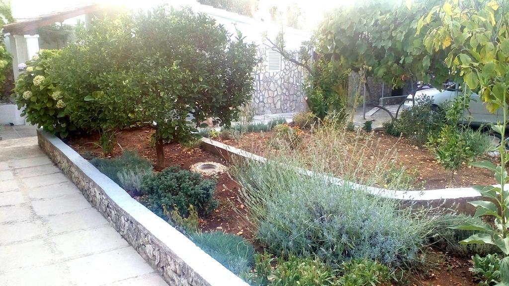 Apartment Lavanda Nova Ražanj Dış mekan fotoğraf