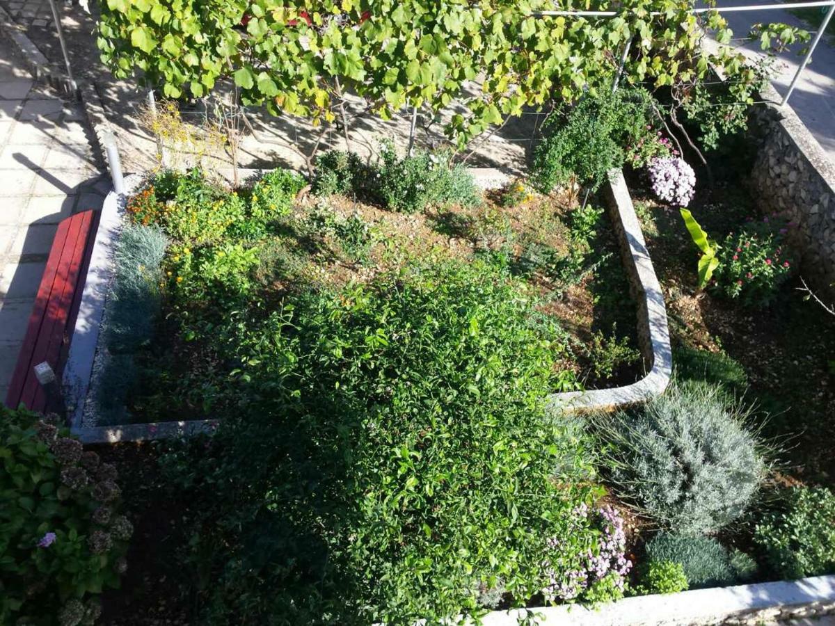 Apartment Lavanda Nova Ražanj Dış mekan fotoğraf