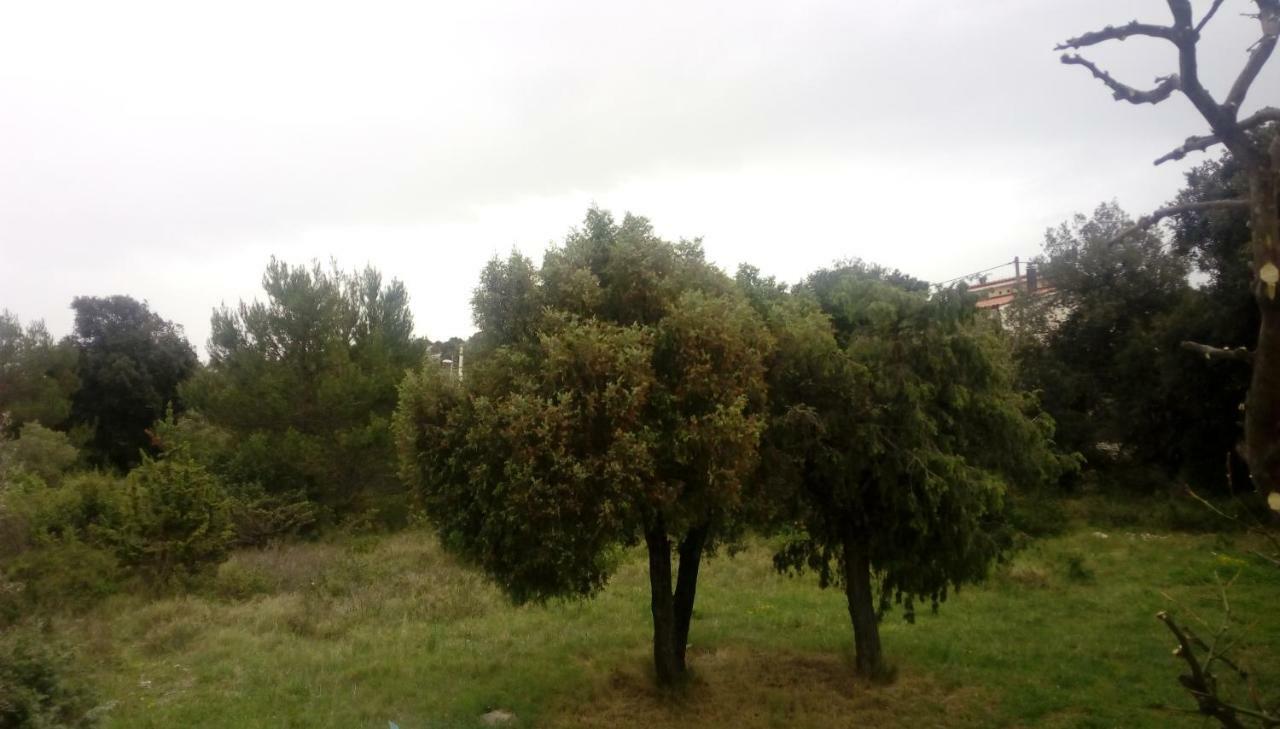 Apartment Lavanda Nova Ražanj Dış mekan fotoğraf