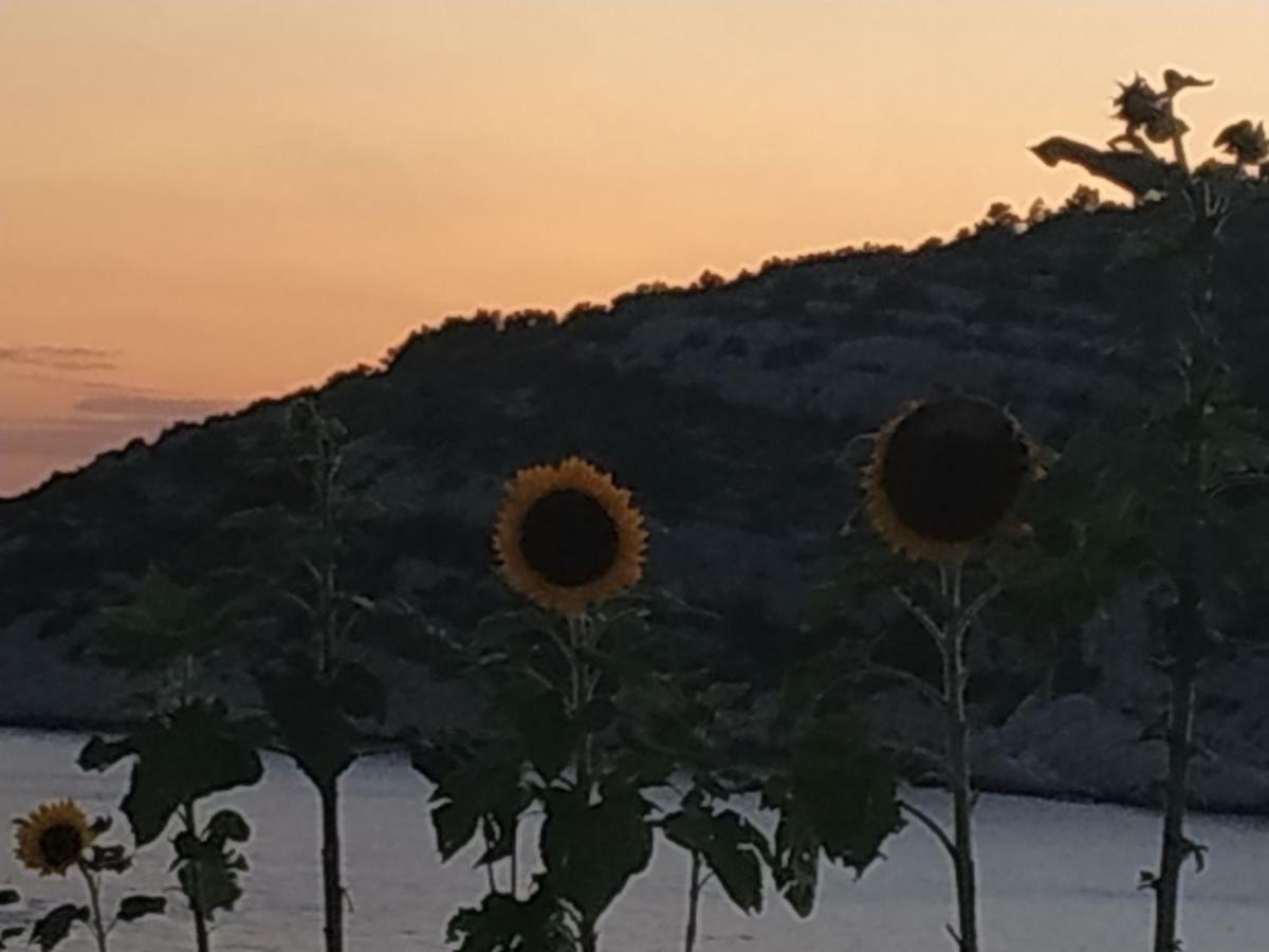 Apartment Lavanda Nova Ražanj Dış mekan fotoğraf